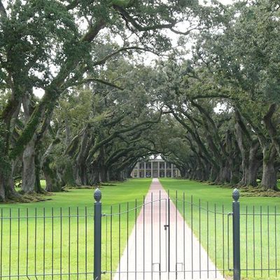 Lisez ce livre étonnant