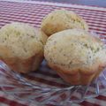 Muffins au citron et graines de pavot