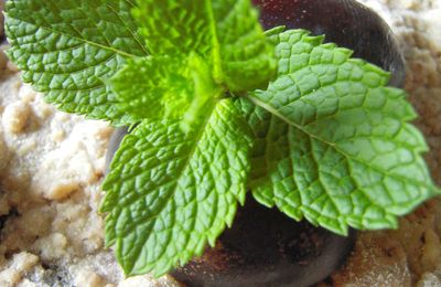 Tarte aux quetsches avec un streusel