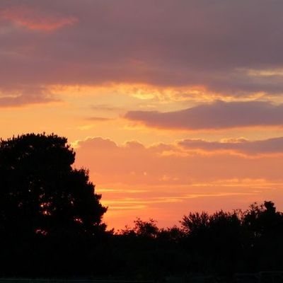 Qui m'aime me suive !