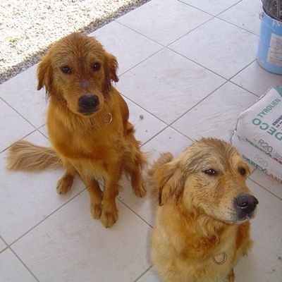 creuser? NOUS? on déteste!