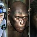 [Coup de cœur] La planète des singes, les origines de Rupert Wyatt (FSK WYA)