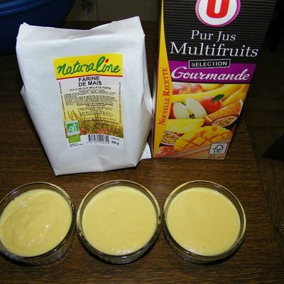 Crème dessert multifruit