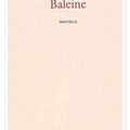 Baleine