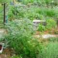 Vues du jardin