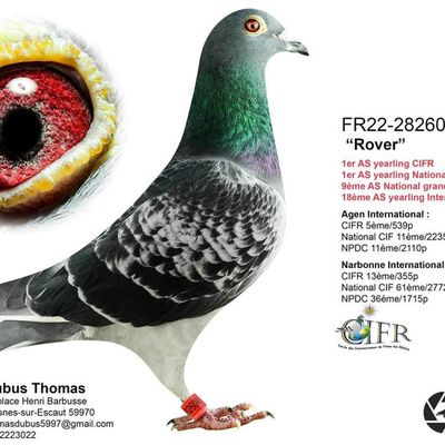 Belle réussite chez Thomas