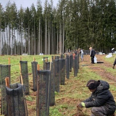 Bruche : rétablir de nouvelles continuités écologiques 