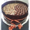 GATEAU AU CHOCOLAT AUX MALTESERS