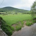 Aux abords du Morvan, 20 mai 2017