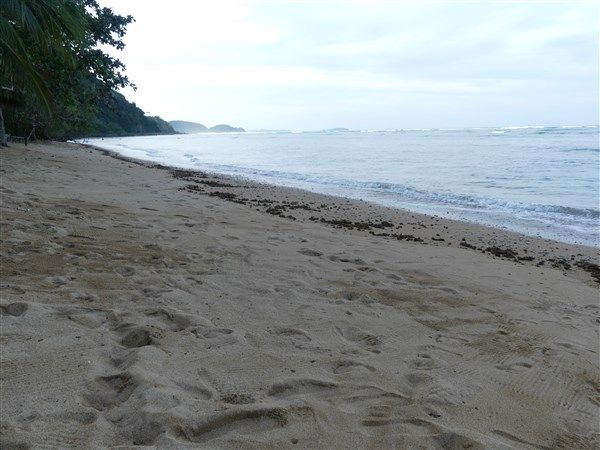 P1310749