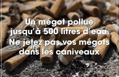 Un seul mégot pollue jusqu’à 500 litres d’eau