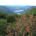 Massif des Vosges 