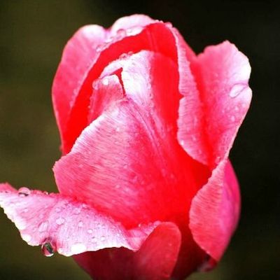 Photos partage du lundi