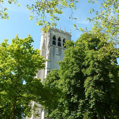 lectures à l'abbaye. readings at the abbey.