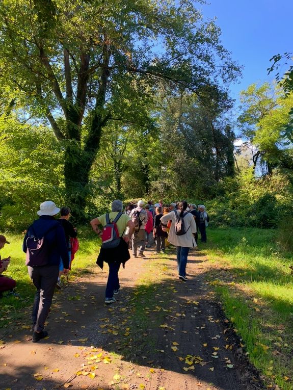 Lundi 06 octobre 2025 ma rando du mercredi 01 oct 2025  : L’“île de Mirefleurs” est une ancienne carrière réaménagée en plan d’eau, proche de la rivière Allier, à Mirefleurs dans le Puy‑de‑Dôme (63 ) Mon diapo au fil de mes pas 