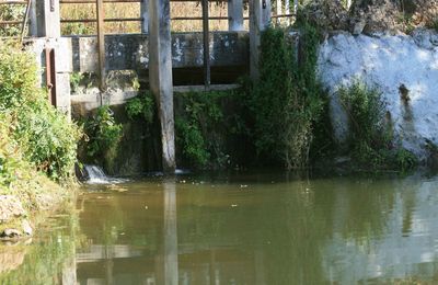 Le Moulin de Courgain