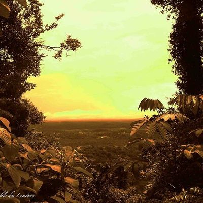 Du nouveau dans les photos