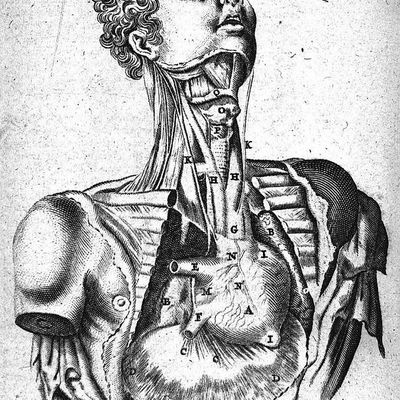 "Gainsbourg sans la musique?"par Yann Frat