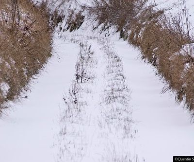 Les pieds dans la neige