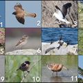 Photos de Bretagne 