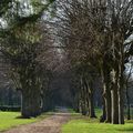 Promenade au Parc de Flin s/Seine