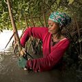 Malimba-océan : la palourde, une vraie source de revenu
