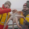 Avec la Cheffe Amandine Chaignot, Les saveurs d'Hokkaïdo