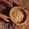 le travail des noix d'argan chez Sidi Yassine 