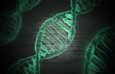 «Le Pentagone DARPA veut insérer un 47e chromosome artificiel et Armes biologiques ethniques
