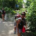 Zoo de beauval