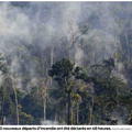 Incendie en Amazonie