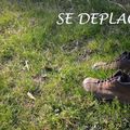 [projet 52-2015] semaine 16 - Se Déplacer