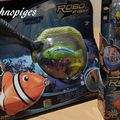 Test du Robofish de Splash Toys