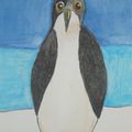 Un pingouin