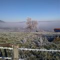 # Un hiver givré !