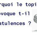 POURQUOI LE TOPINAMBOUR PROVOQUE T-IL DES FLATULENCES ?