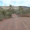 Paysages surprenants entre Alice Springs et Glen Helen