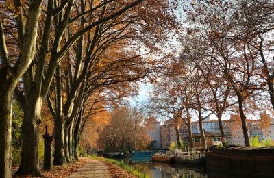 Ephéméride,jour 28 Canal du Midi,Automne