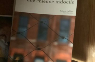 LA MÉMOIRE EST UNE CHIENNE INDOCILE, par Elliot Perlman