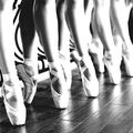 Danseuse classique: Jambes,pieds et chaussons