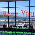 Vidéo conférence du 16/11/22: Sheree YAU - Le mal de la mer: Algues et les virus