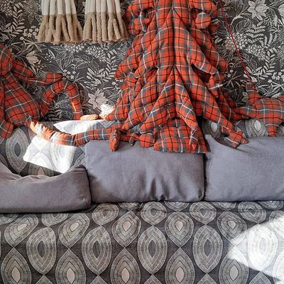 Titus marque sa place dans le rayon de soleil