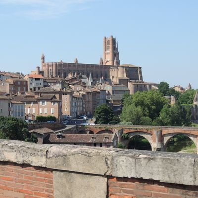 Albi