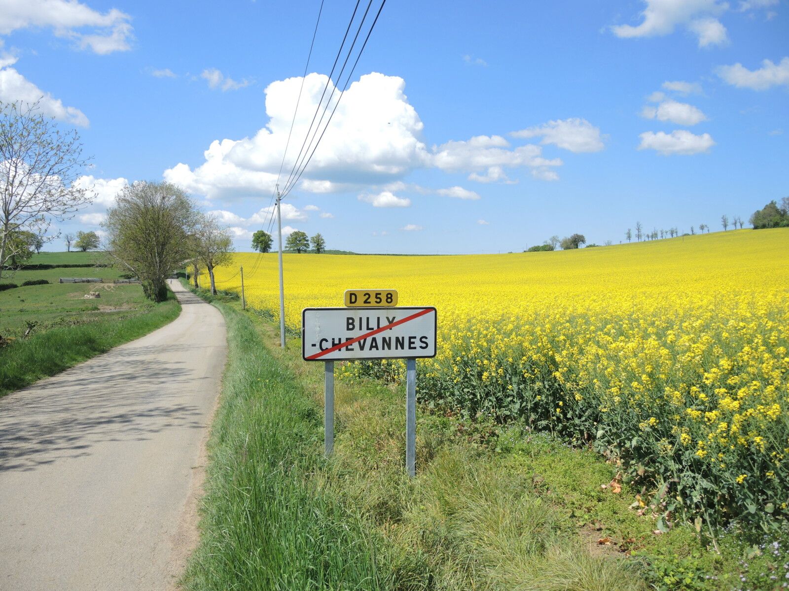 Billy-Chevannes, route et colza (58)