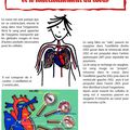 Circulation sanguine et fonctionnement du coeur