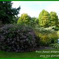 Le Parc Floral d'Apremont sur Allier (18)