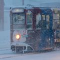 Densha & Ippo dans la tempête