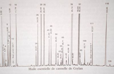 Familles biochimiques des huiles essentielles et leurs actions thérapeutiques