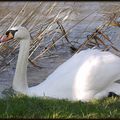 une promenade "mouillée":):)