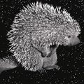 Robert Wilson, South American Porcupine, 2006